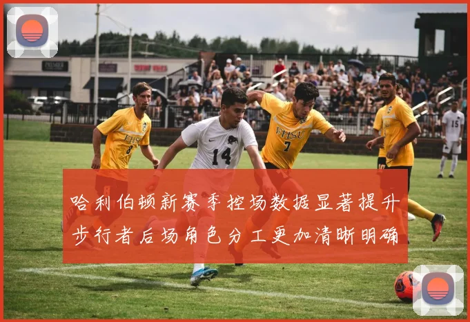 哈利伯顿新赛季控场数据显著提升步行者后场角色分工更加清晰明确