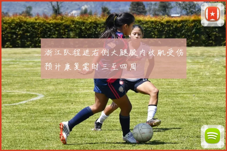 浙江队程进右侧大腿股内收肌受伤预计康复需时三至四周