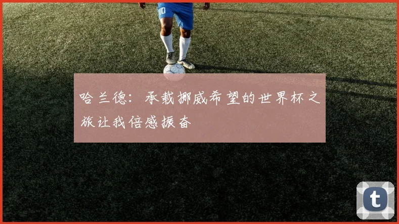 哈兰德：承载挪威希望的世界杯之旅让我倍感振奋