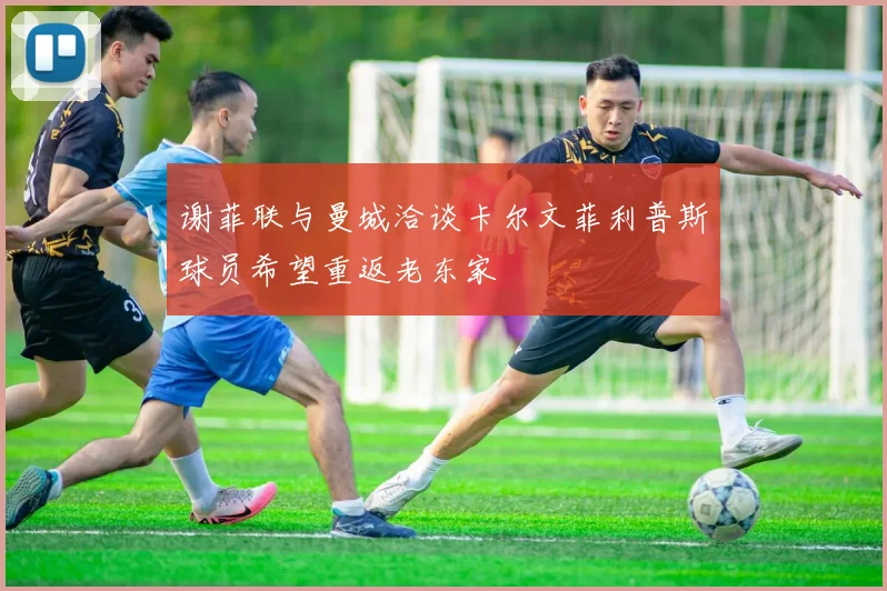 谢菲联与曼城洽谈卡尔文菲利普斯球员希望重返老东家